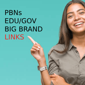 10 PBNs with Big Brand and EDU/GOV Power UP LINKS