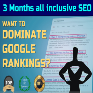 Newbie SEO Package