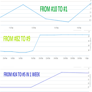 15 PBN Backlinks on Aged Domains 10 Years Plus