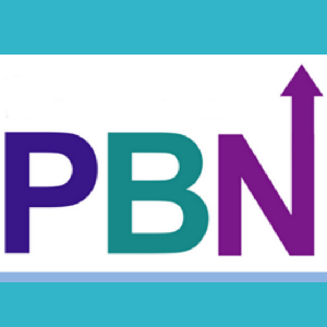 25 PBN BACKLINKS RANKERS BEST SELLER