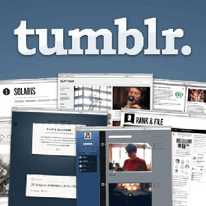 50 PA 29+ Tumblr Blogs Registered