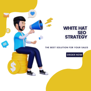 #1 White Hat SEO Package The PERFECT SEO Strategy