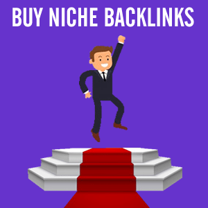 Buy Niche Backlinks