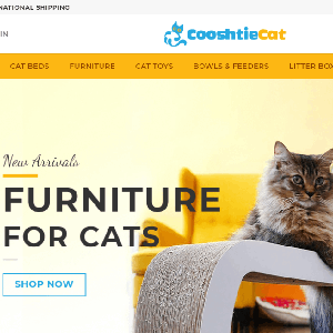 CAT Niche WordPress Dropshipping Website Ready to make you $$$$$