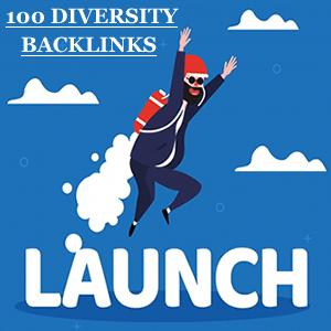 Cheap SEO Plans – 100 Diversity Backlinks