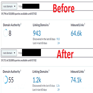 Increase Website Domain Authority (DA) To 50 Plus