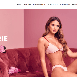 Lingerie WordPress Dropshipping Website Ready to make you $$$$$