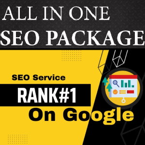 Low Cost Basic All in One SEO Package