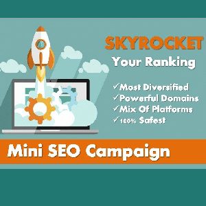 Mini Seo Campaign