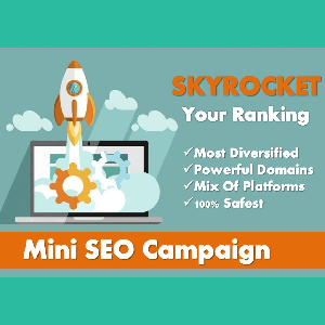 Mini Seo Rankers Blast Seo Pakage