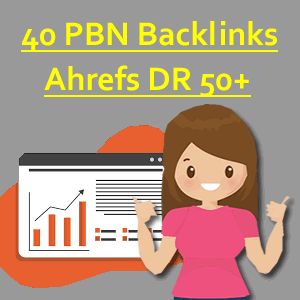 40 PBN Backlinks Service with DR 50+