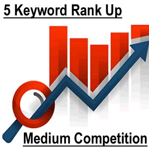 The Keyword Ranking Jump Medium (medium competition keywords)