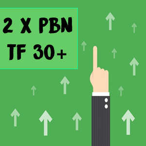 Two Very Powerful Trust Flow 30 Plus PBN Backlinks